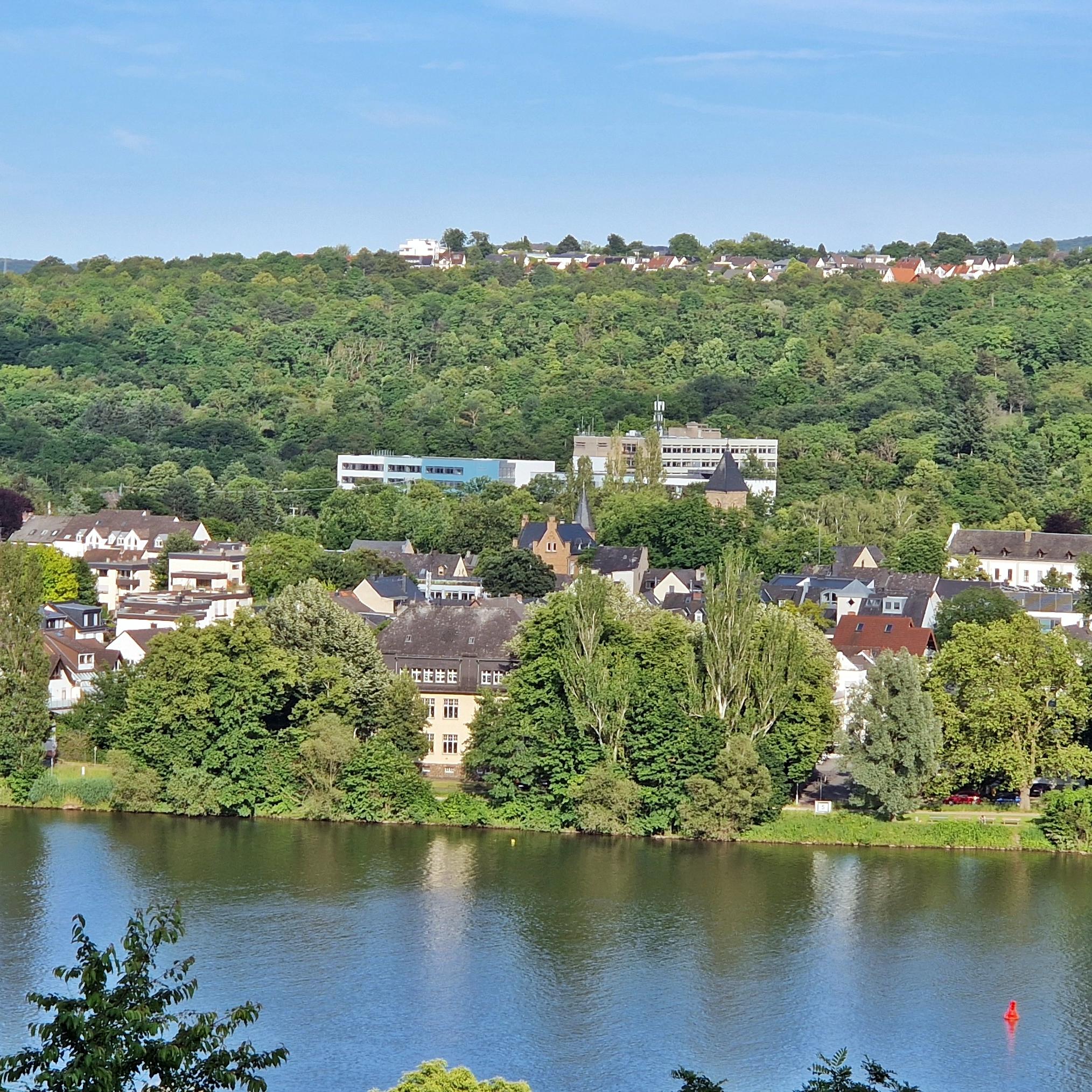 Blick über die Mosel auf Moselweiß