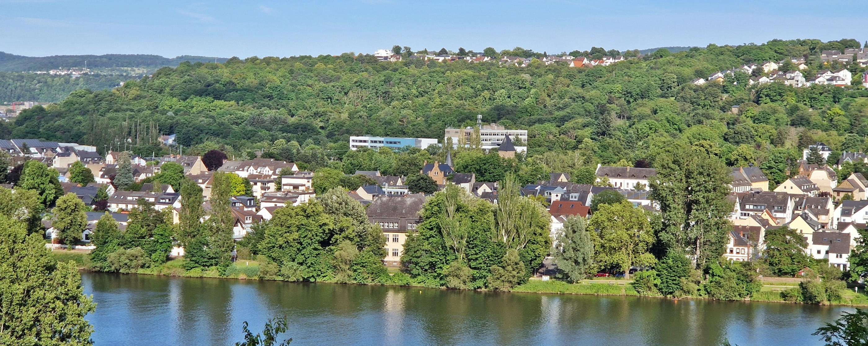 Blick über die Mosel auf Moselweiß