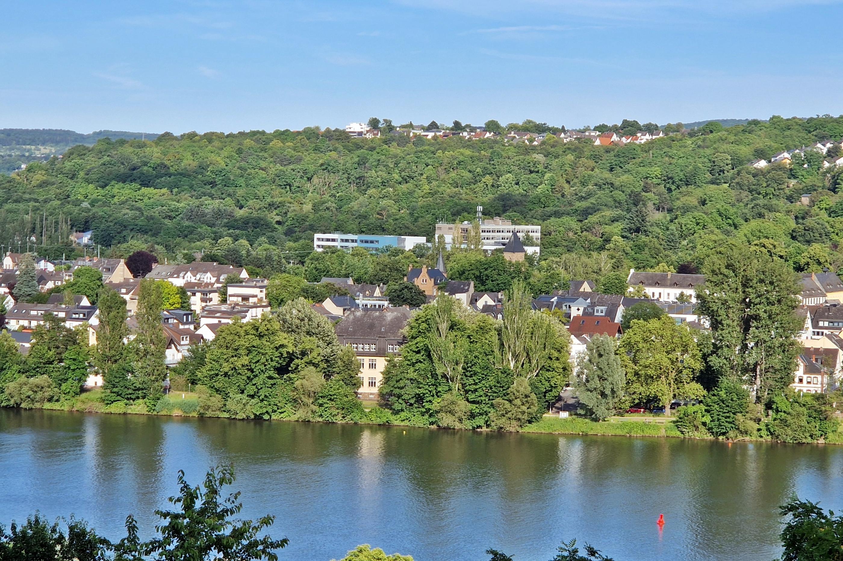 Blick über die Mosel auf Moselweiß