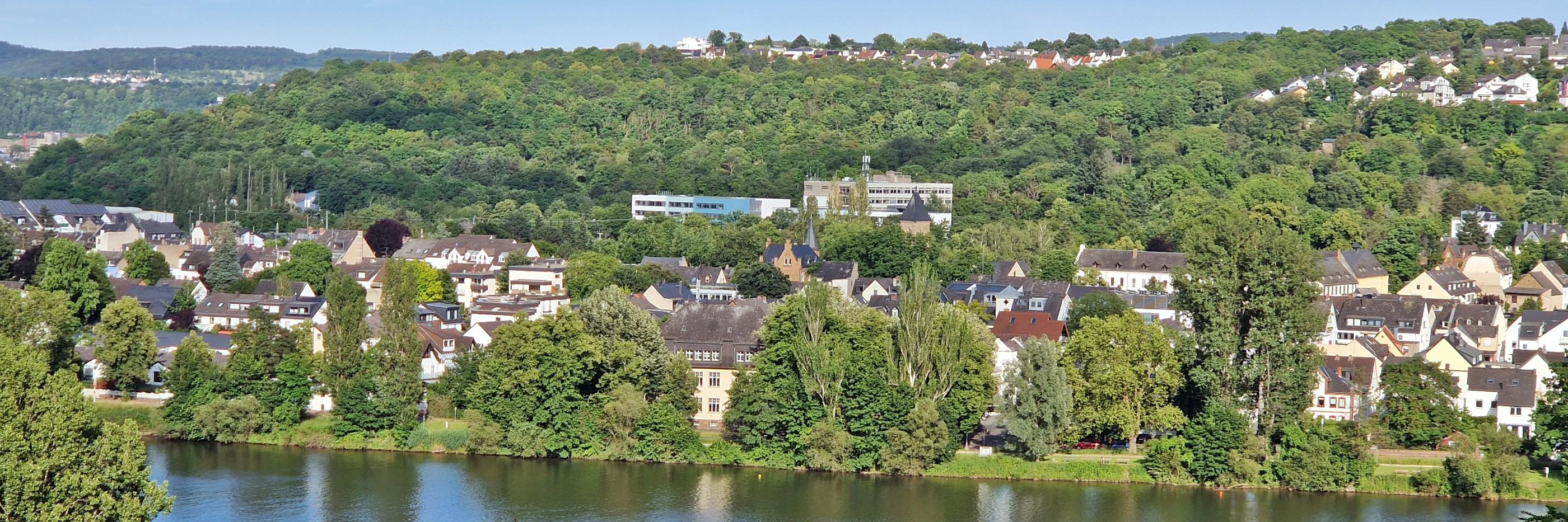 Blick über die Mosel auf Moselweiß