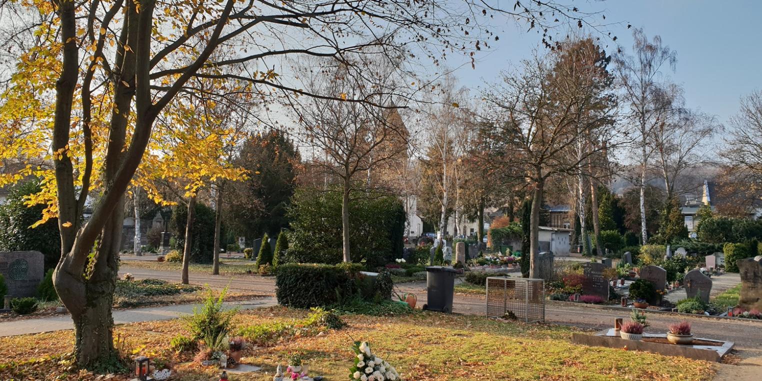 Blick über den Friedhof mit Herbststimmung vom Kissensteinfeld, im Vordergrund links ein Baum mit herbstlich gelbem Laub