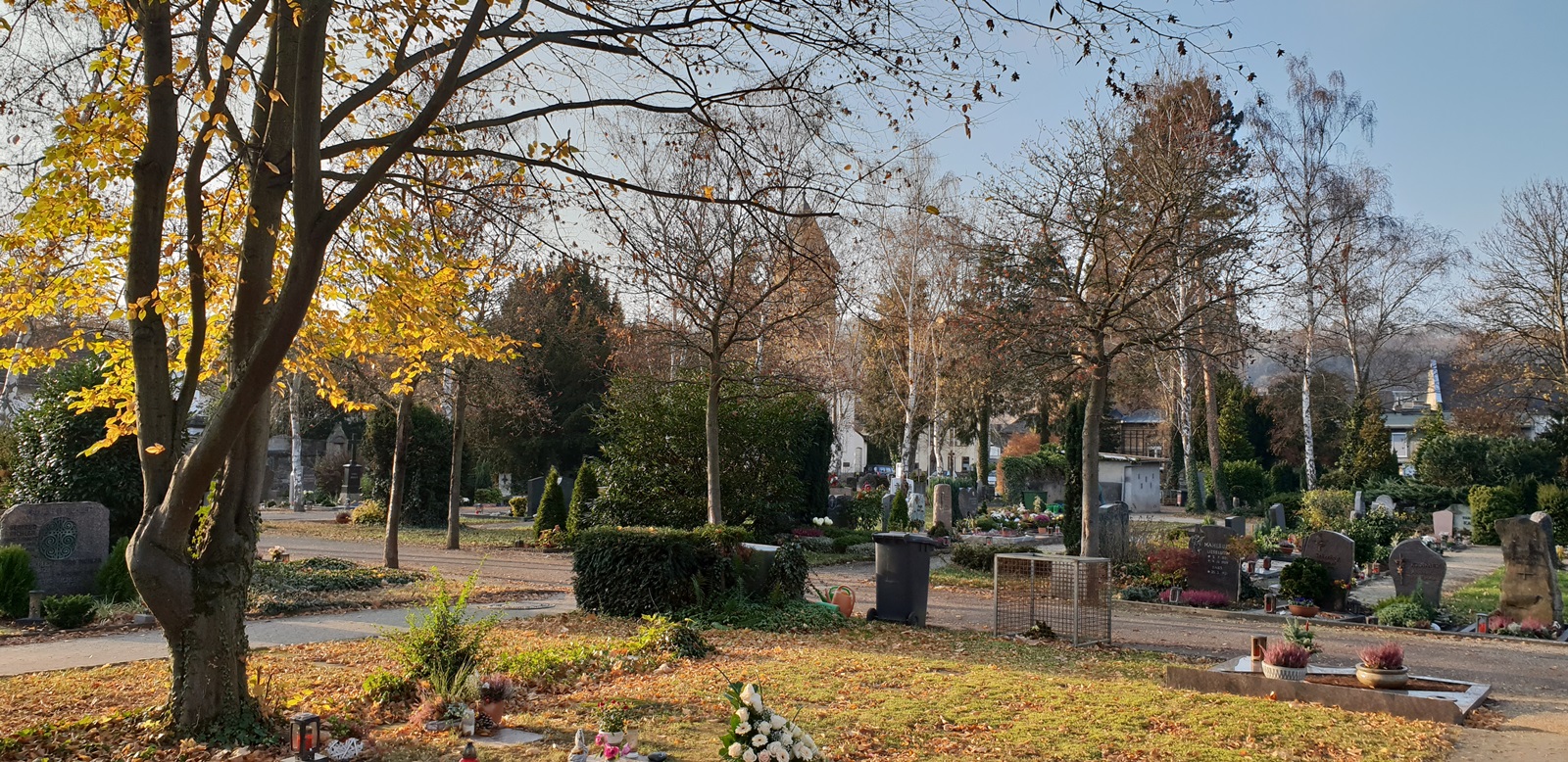 Blick über den Friedhof mit Herbststimmung vom Kissensteinfeld, im Vordergrund links ein Baum mit herbstlich gelbem Laub